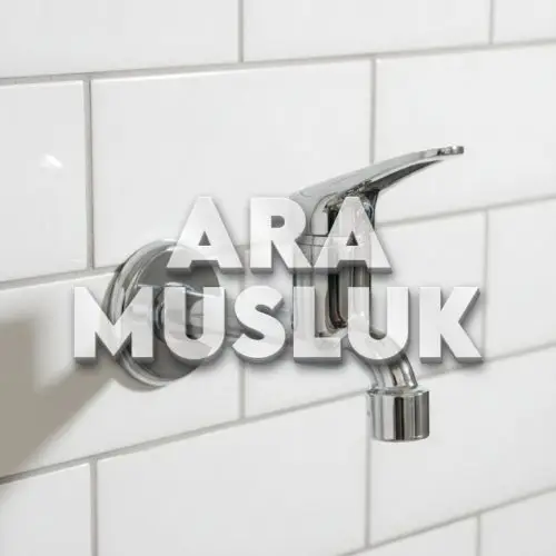 Ara Musluk